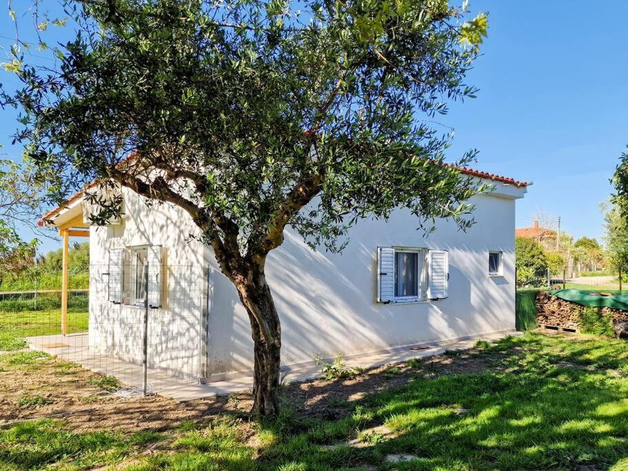 Holiday home Cozy Owl's Pyrgos (Elis)