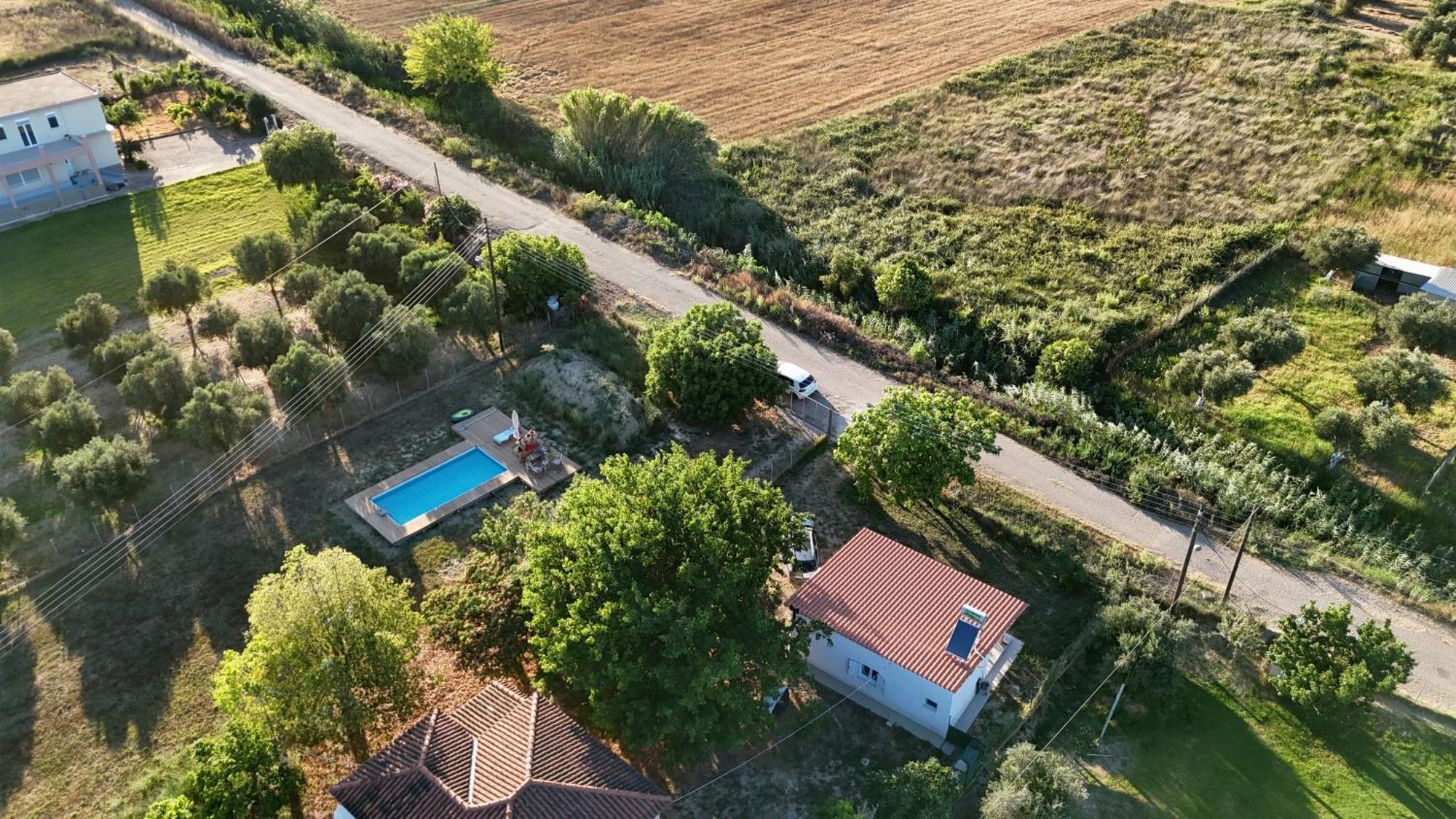 Cozy Owl's Case de vacanță